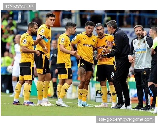 狼队对阵富勒姆前瞻:两队均擅防守反击,比赛或陷入僵局 狼队对阵富勒姆前瞻:两队均擅防守反击,比赛或陷入僵局